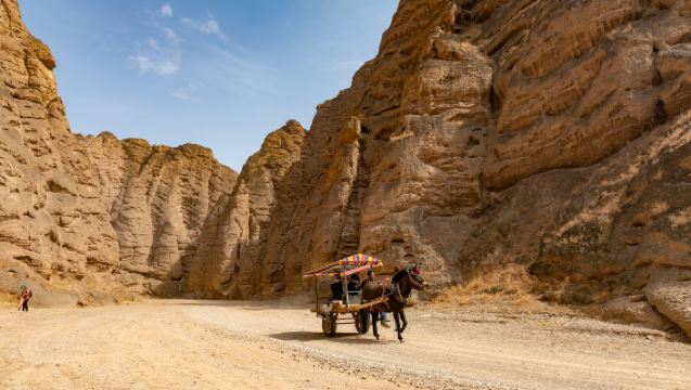 1-day tour to Yellow River Stone Forest (departing from Lanzhou)