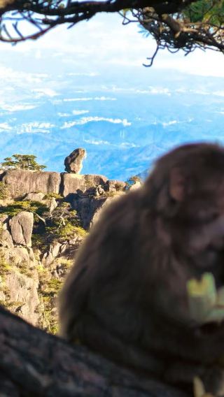 In-depth experience of Huizhou landscapes - small join-in tour to visit Huangshan's mountain scenery for a full day and Hongcun ancient village's core scenery for half a day