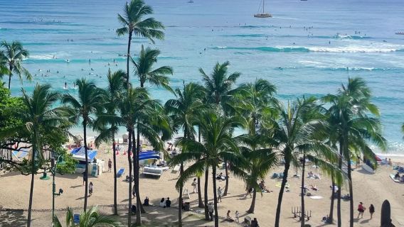 Amerika Syarikat Honolulu Pulau Oahu - Diamond Head - Teluk Dinosaur - Pantai Pasir Putih Sewaan Peribadi 8H Tiada Tiket - Bebas