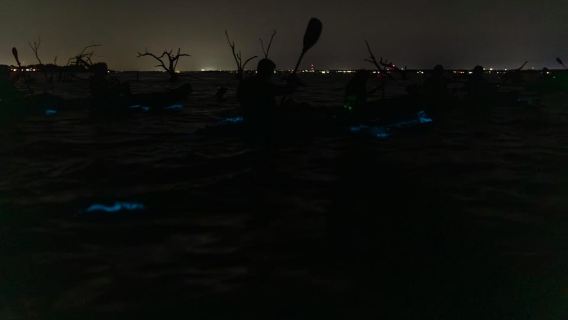 ココアビーチ/メリット島：バイオルミネセンス・カヤックツアー