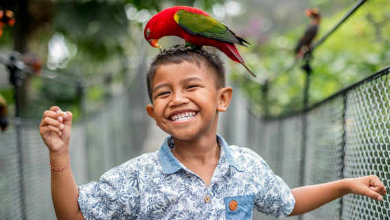 Bali: Parque de Aves con traslado