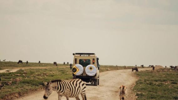 Tanzania: 5 Days Serengeti, Ngorongoro, Tarangire