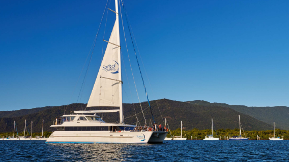 Cairns - crociera al tramonto sulla barca a vela Pin Yue [include cena a buffet di frutti di mare | 2.5 ore di navigazione]