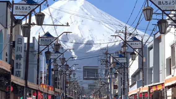 Mt. Fuji Privater individueller Tagesausflug
