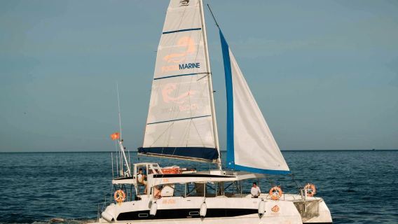 Nemo Yacht Daytour - Explore Ninh Van Bay
