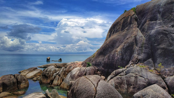 Koh TaoTours