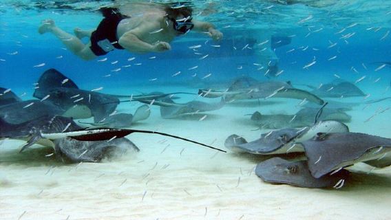 Grand CaymanTours