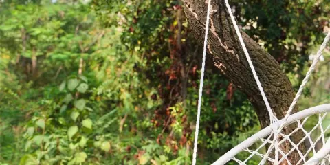 【新銀盞溫泉/銀盞森林溫泉2選1、廣州周邊遊的真溫泉】