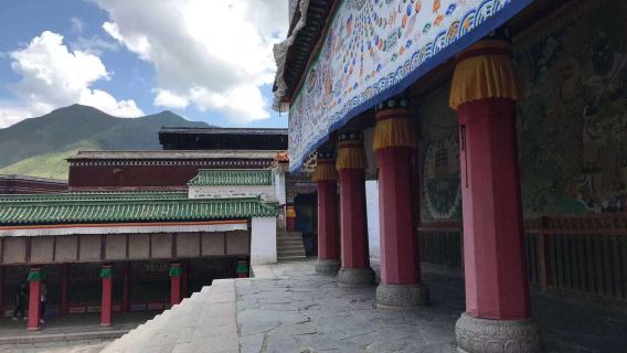 甘南拉卜楞寺桑科草原【包車一部】
