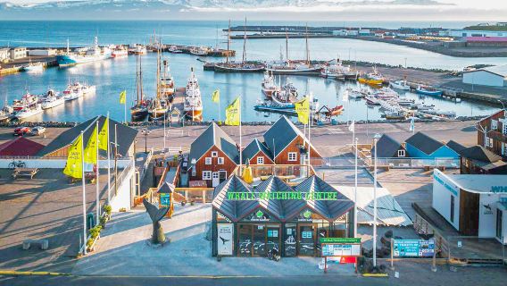 Tromsø, Norway: Whale Watching Tour by speedboating/Catamaran