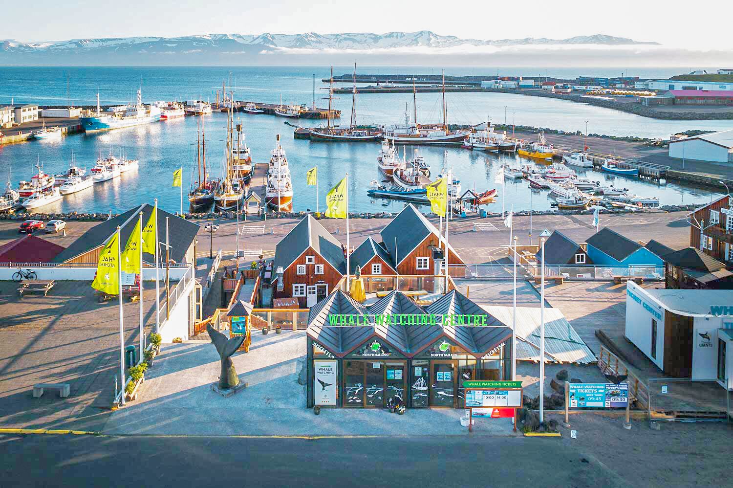 Norway Tromso: Whale Watching by Speedboat/Catamaran