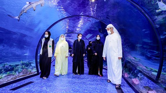 Abu DhabiExperiences