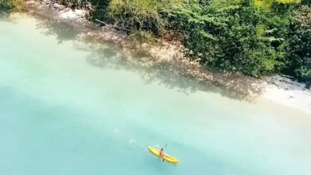 Langkawi Mangrove Tropical Rainforest|Double kayaking + mangrove forest + wildlife spotting with scenic views