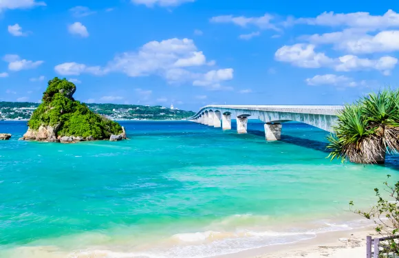 日本沖繩觀光巴士：熱帶植物園+古宇利島+萬座毛+美國村一日遊