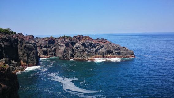 靜岡日遊