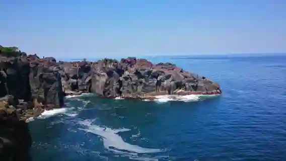 日本東伊豆+南伊豆+西伊豆+大室山【伊豆訂製行程丨可定多日】