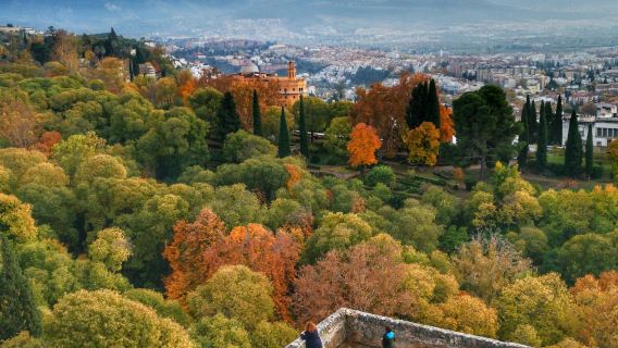 알함브라 궁전 & 나스리드 궁전: 가이드 투어 + 현지 음식 체험