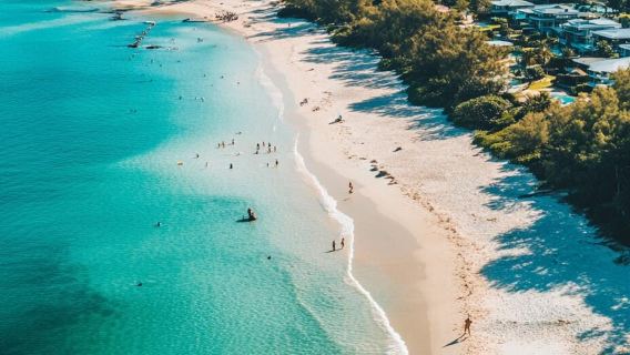 ทัวร์วันเดียว/ทัวร์หลายวัน รถเช่าเหมา สัตว์น้ำแคนส์ + ตลาดกลางคืน + พิพิธภัณฑ์ + หอศิลป์|บริการภาษาจีนและภาษาอังกฤษ