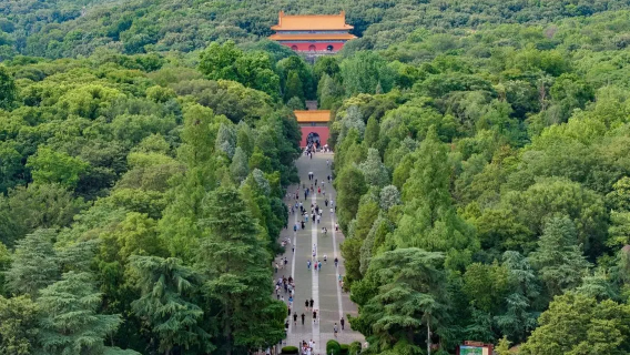 南京旅行服務