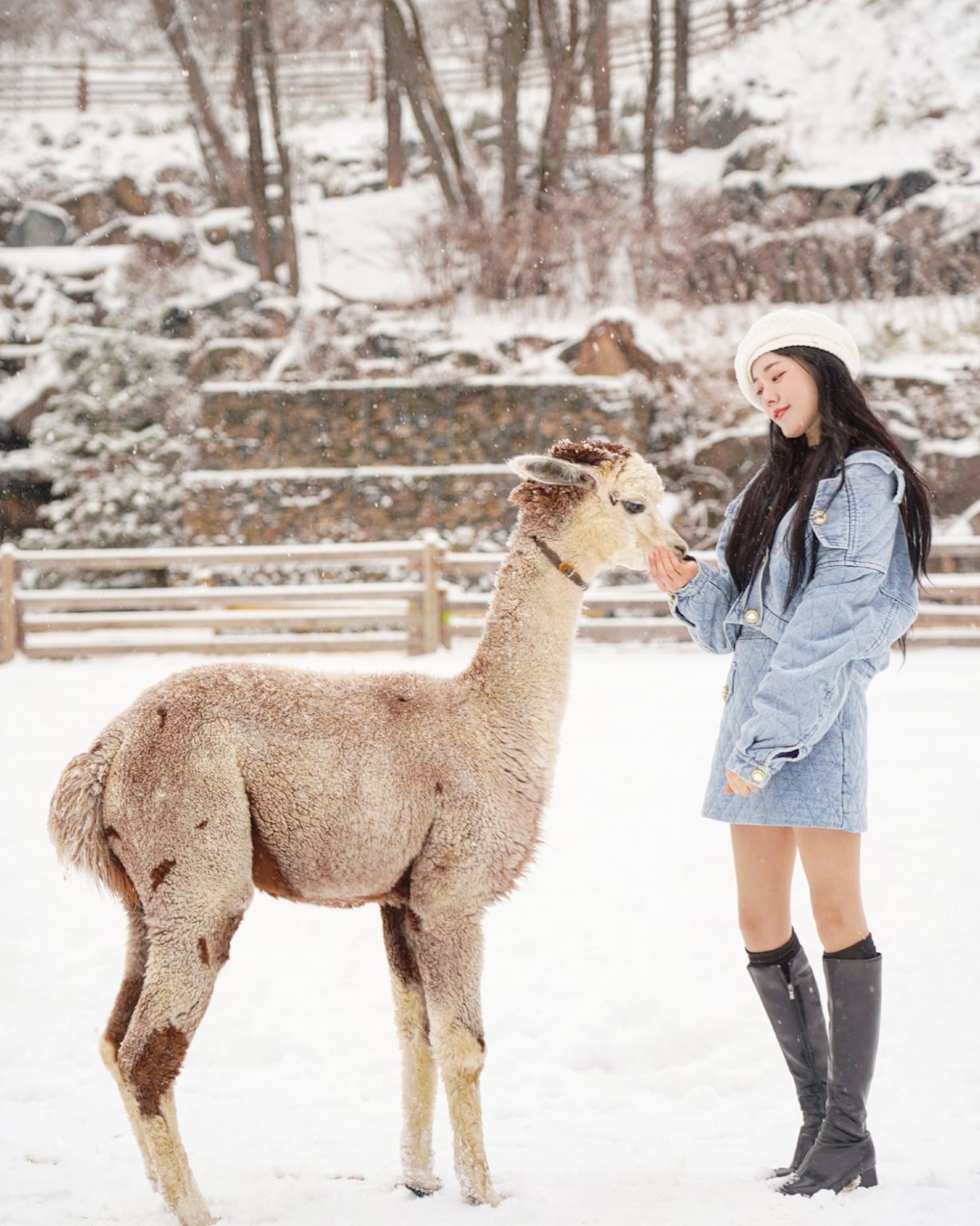 ทัวร์วันเดียว/ทัวร์หลายวัน(ออกเดินทางจากโซล ไกด์ ภาษาจีนและอังกฤษ)