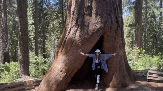 Excursión de un día al Parque Nacional de Yosemite y al Bosque de Secuoyas Gigantes (salida desde San Francisco)
