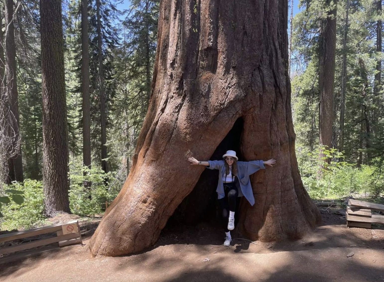 Yosemite National Park & Giant Sequoias Day Tour from San Francisco