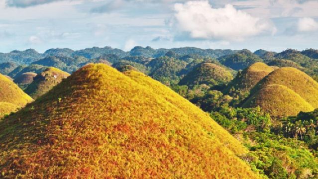 Bohol Island Countryside Tour: Chocolate Hills + Loboc River + Tarsier + Church + Man-made Forest and More