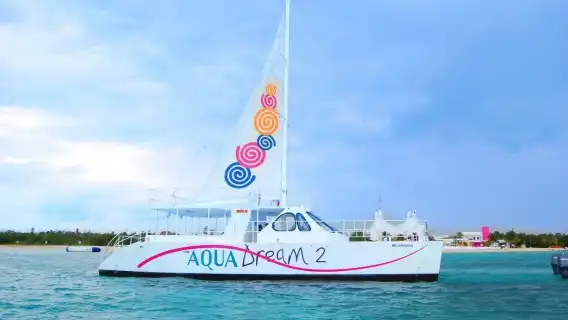 Palancar Reef & El Cielo Bay: Snorkeling Tour from Cozumel + Buffet Lunch