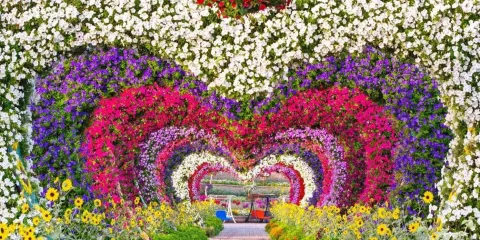 杜拜市區遊及奇蹟花園遊連接送