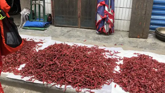 半日西安褲帶麵烹飪課程,附香料市場參觀 - 西安 - Eatwith