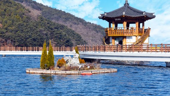 Daegu|Songhae Park x Palgongsan cable car x Busan Aquarium x Seaside Train *Depart from Busan