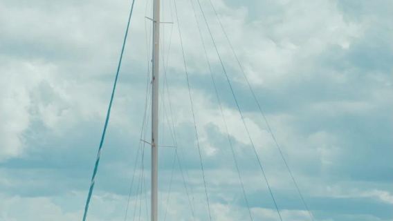 Avistamiento de delfines en catamarán en Mauricio con traslado desde el hotel, almuerzo y snorkel