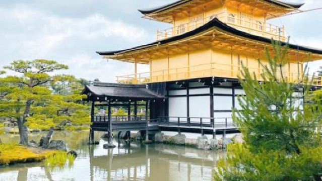 日本京都+奈良+伏見稻荷大社一日遊/行程可調-可定制多日