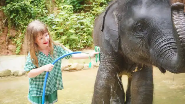 布吉島芭東擁抱大象保護營【洗澡/餵食/親子互動/酒店接送】