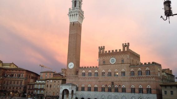 Siena: 3h Private City Walking Tour with Optional Cathedral