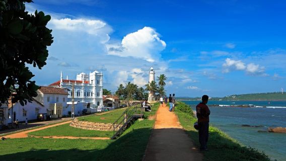 Kalutara: Turtle Hatchery Visit, Boat Safari, and Galle Tour