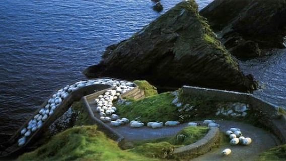 Depuis Killarney : excursion d'une journée à Dingle