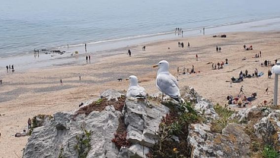 Ab Cardiff: Mythische Westwales-Tour des Wandering Bard