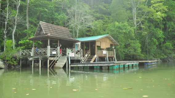 Langkawi: tour in barca di 6 ore tra le mangrovie Kilim con pranzo e prelievo