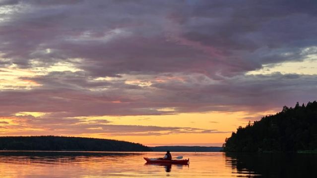 Stockholm: Sonnenuntergang-Kajaktour auf dem Mälaren mit Tee und Kuchen