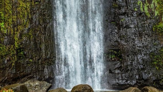 自然散策と滝へのセルフガイドハイキングコース