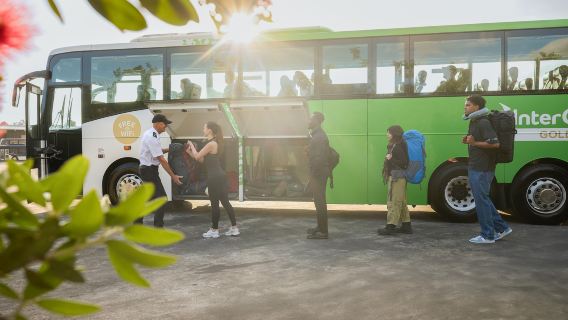 Tiket Bas Intercity Pulau Utara New Zealand (Berlepas dari Auckland/Rotorua/Taupo/Wellington)
