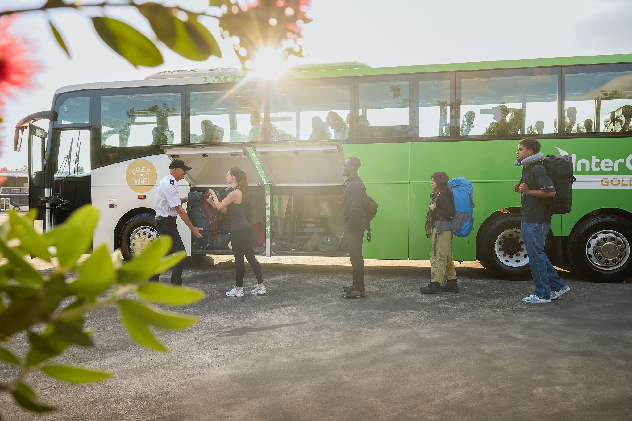 Billete de autobús Intercity en la Isla Norte de Nueva Zelanda (salidas desde Auckland/Rotorua/Taupo/Wellington)
