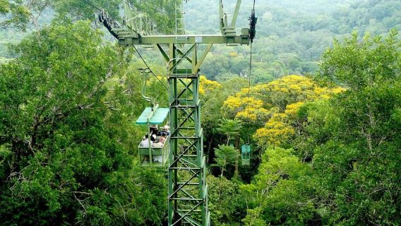From Panama City: Gamboa Rainforest Guided Tour with Lunch