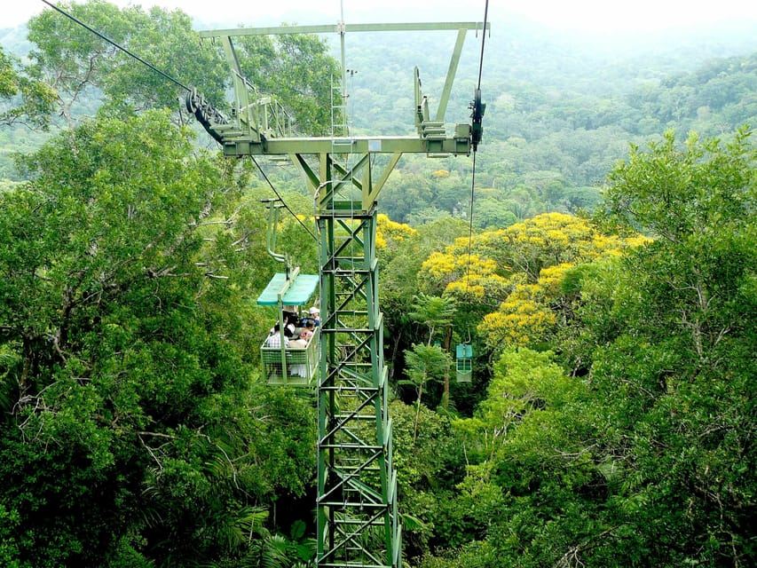 Da Panama City: tour guidato della foresta pluviale di Gamboa con pranzo