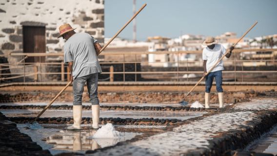 Fuerteventura: Tickets to Salt, Cheese and Windmill Museums