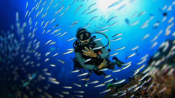 Experiencia de buceo en Gold Coast con opción de snorkel o buceo sin certificación de medio día, buceo en la isla Duanlang.