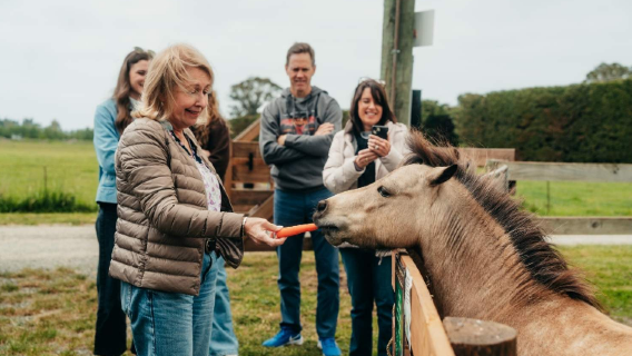 Pengalaman Ladang New Zealand & lawatan sehari ke kilang wain (berlepas dari Christchurch)