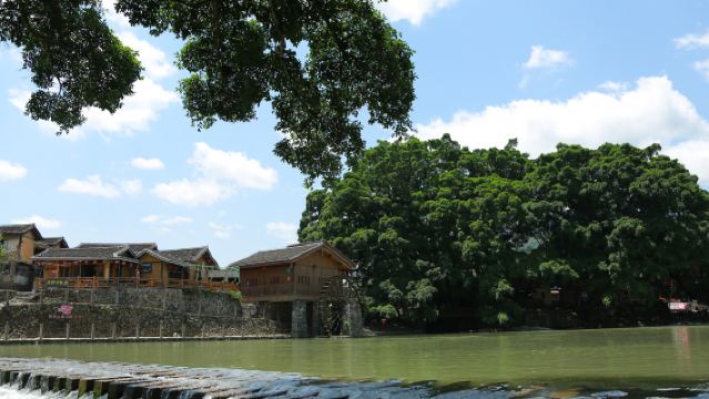 福建永定土樓王景區+南靖雲水謠景區一日遊「包車遊」