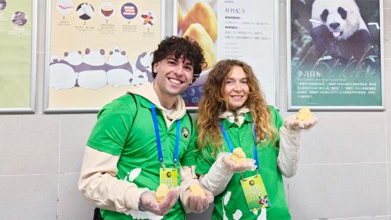 Chengdu Panda Base Volunteer Experience Private Half-Day Tour